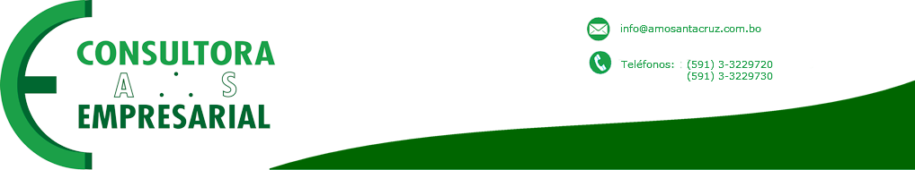 Consultora Empresarial A-S
